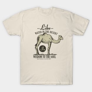 Like Water in the Desert T-Shirt